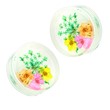 Pair Of Green Dried Flower Clear Acrylic Saddle Fit Plugs